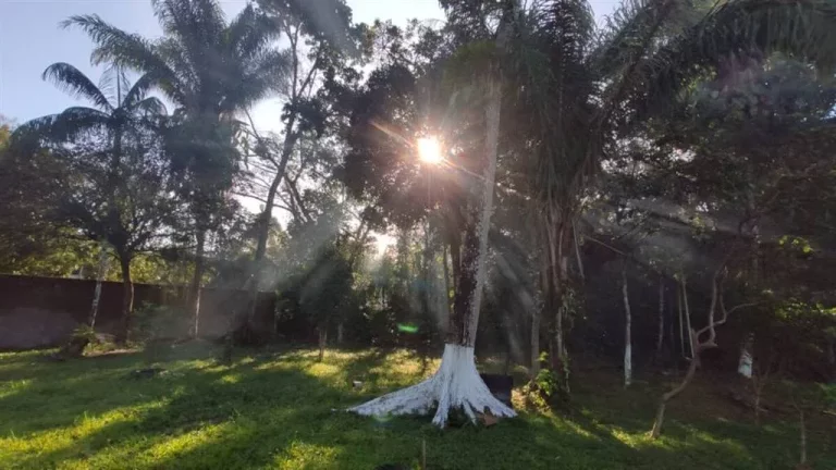 Imagem chacara com 3 dormitórios, piscina em Itanhaém