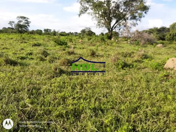 Imagem Fazenda 318 Alqs Barranca do Rio Araguaia em Araguaiana/MT