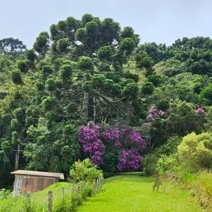 Imagem Um refúgio vivo na Mantiqueira. Natureza, consciência e liberdade.