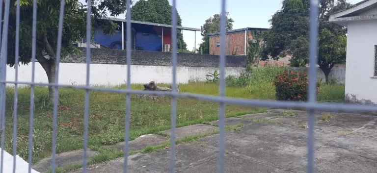 Imagem TERRENO COMERCIAL em MANAUS - AM, SÃO FRANCISCO