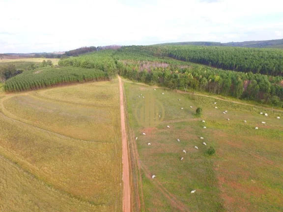 Imagem Fazenda à venda, 290400 m² por R$ 2.700.000 - Itirapina - Itirapina/SP