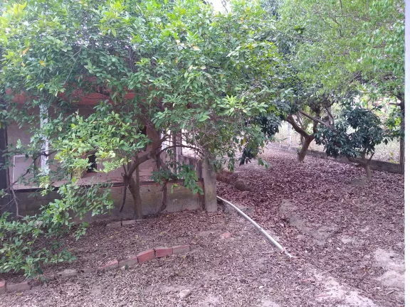 Imagem CHACARA TEMPORADA em Indaiatuba - SP, Recando Internacional Viracopos gleba-4
