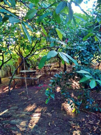 Imagem SITIO RESIDENCIAL em BUERAREMA - BA, BA 101