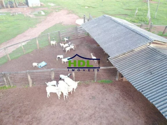 Imagem Fazenda especial 298 Alqs Cocalinho MT faz permuta prox a Goiânia