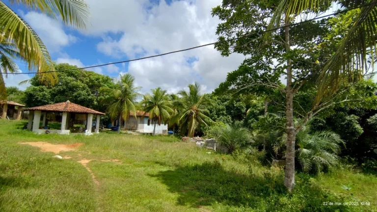 Imagem Chácara com 3 Dormitorio(s) localizado(a) no bairro Lagoa do Aruá em Mata de São João / Bahia Ref.:628