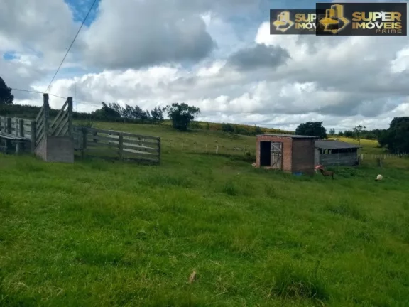 Imagem Posto de Gasolina com Mercado na BR 392 para venda