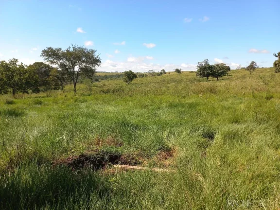 Imagem Fazenda à Venda, 10.000.000 m² em Zona Rural - Camapuã