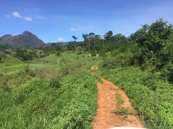 Imagem FAZENDA RURAL em COLATINA - ES, ÁREA RURAL DE COLATINA
