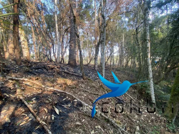 Imagem Terreno à Venda, 2.141 m² em Leão - Agudos Do Sul