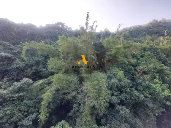 Imagem Avenida Epitácio Pessoa - Excelente apartamento 3 quartos com vista para Natureza