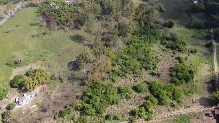 Imagem Área à venda, 42 m² por R$ 15.641.668,60 - Fazenda Aya - Suzano/SP
