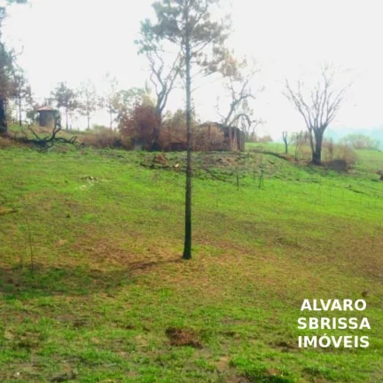 Imagem Sitio com 14,1482 Ha na rodovia Castelo branco em itu/SP