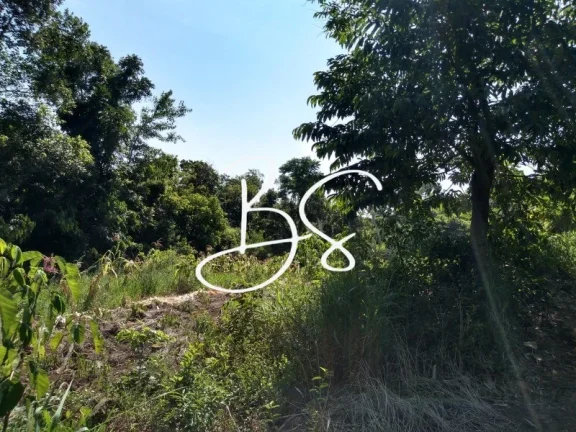 Imagem SITIO RESIDENCIAL em TRÊS COROAS - RS, Linha 28