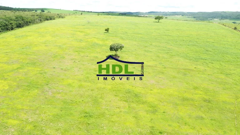 Imagem Chácara 5,5 alqs beira asfalto na Soja