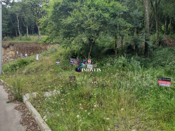 Imagem Terreno à venda no bairro Santa Terezinha em Canela/RS