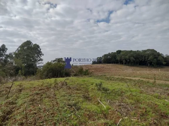 Imagem ÁREA PARA PLANTIO EM BALSA NOVA REGIÃO DO BUGRE