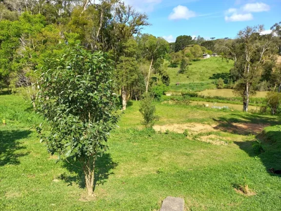Imagem Chácara para Venda em Quitandinha, Zona Rural