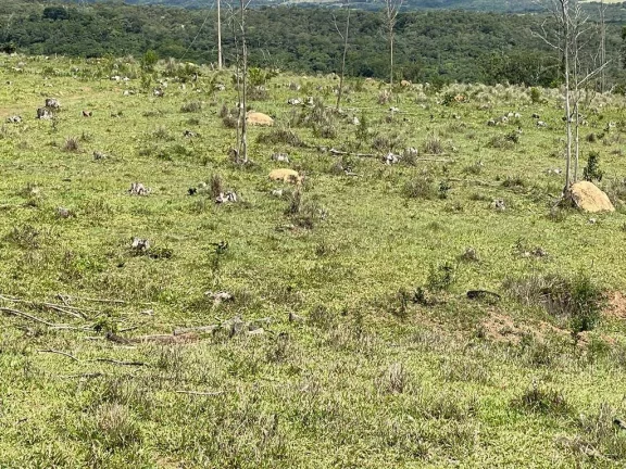 Imagem Fazenda à Venda – 117,3 Hectares em Luziânia-GO