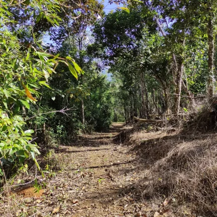 Imagem Área Rural, Terreno Rural, Chácara, Sítio, Pirabeiraba