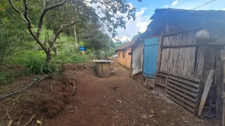 Imagem Sítio Encantador com Pomar, Solo Fértil e Construção Rústica em Antônio Carlo