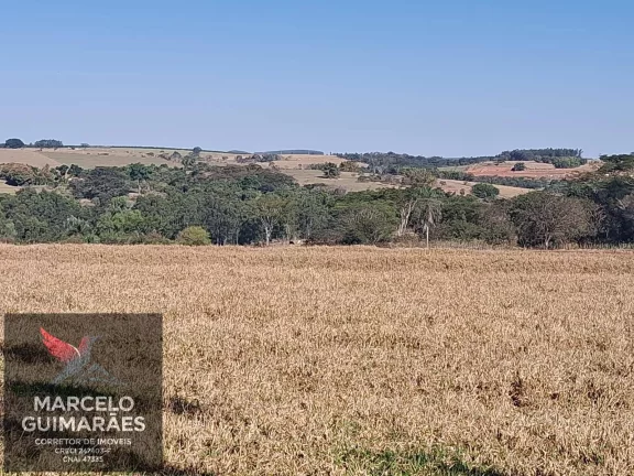 Imagem Propriedade Rural em Guaimbê, SP - 12 Alqueires Sitio Valenciano