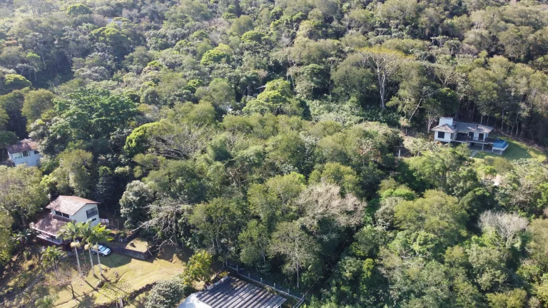 Imagem Terreno à venda no Siriú, Garopaba (SC), com 700m², leve declive e vista para o mar. A apenas 2km da praia, com água, luz e possibilidade de regulariz