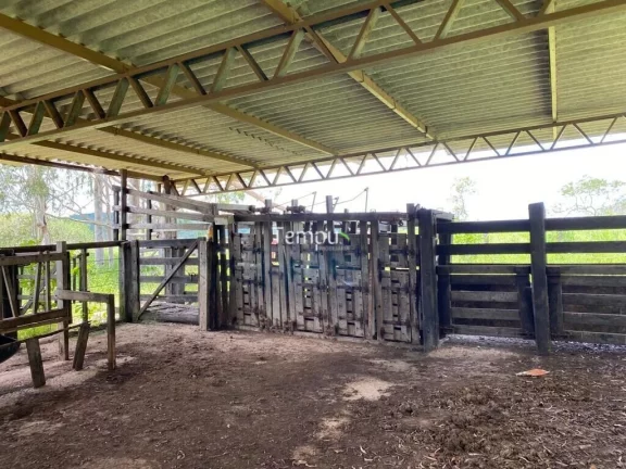 Imagem Fazenda zona Rural São Miguel do Passa Quatro, 175 ha, - GO, 36,1 Alqueires