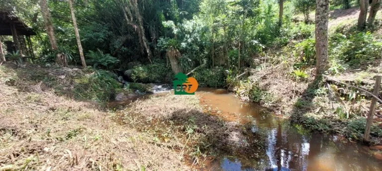 Imagem Sítio para Venda em São Roque, Ponte Lavrada, 4 dormitórios, 3 suítes, 4 banheiros