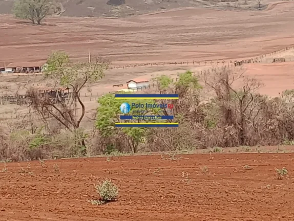 Imagem Fazenda 181 hectares montada para criação de bovinos até 220 cabeças e planta café, próximo de Altinópolis - São Paulo.