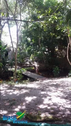 Imagem LINDA ÁREA EM CABRÁLIA