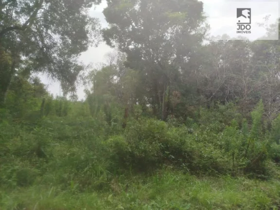 Imagem Terreno a Venda no bairro Del Rey - São José dos Pinhais, PR