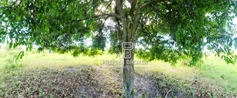 Imagem Fazenda à venda, 52 alqueires por R$ 9.500.000 - Banqueiros - Araruama/RJ