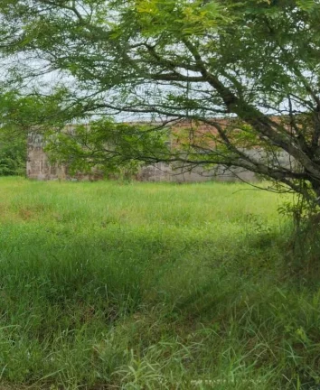 Imagem OPORTUNIDADE!!!!!!!! Terrenos à venda no Jardim Primavera- Iguape/SP