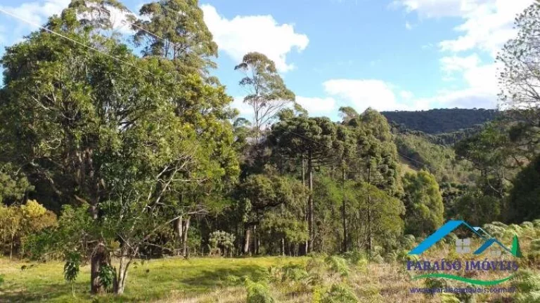 Imagem Paraíso Ecológico na Serra da Mantiqueira: Fazenda com 38,72 hectares!