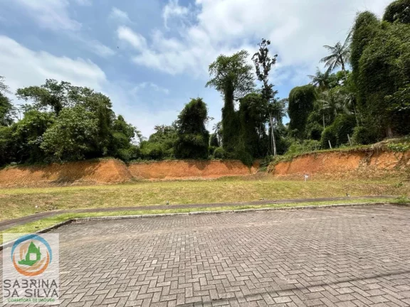 Imagem Lote/Terreno - Itoupavazinha - Blumenau