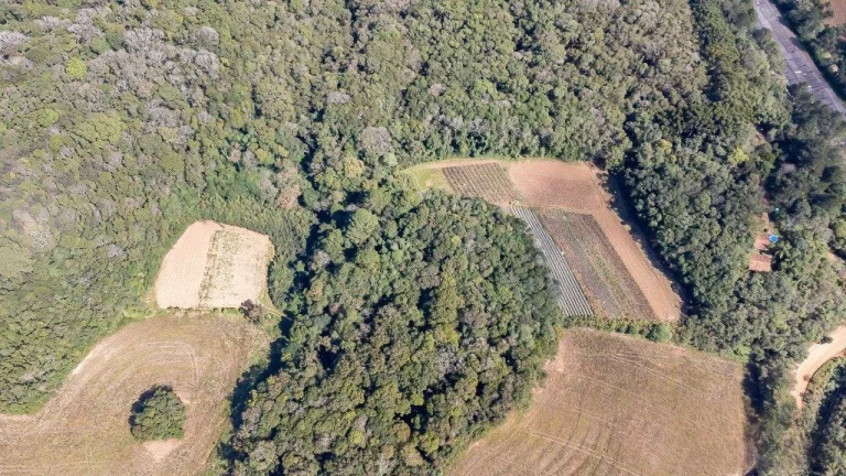 Imagem Chácara no Ferraria - Passaúna