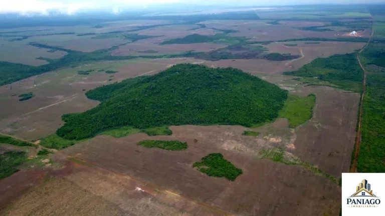 Imagem FAZENDA DUPLA APTIDÃO À VENDA