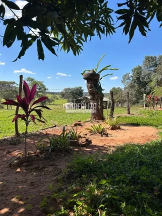 Imagem Chácara à venda próximo à Veríssimo!