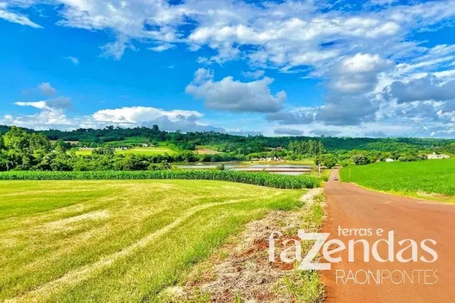Imagem Fazenda à Venda, 187.200 m² em Vila Nova - Toledo