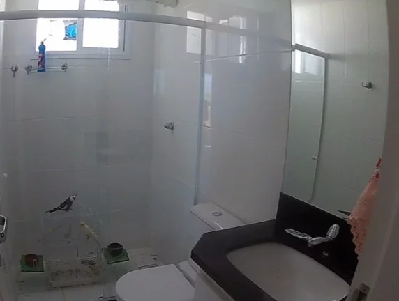 Imagem Cobertura 3 Quartos Suítes, Vista para o Mar na Enseada Azul em Guarapari-ES.