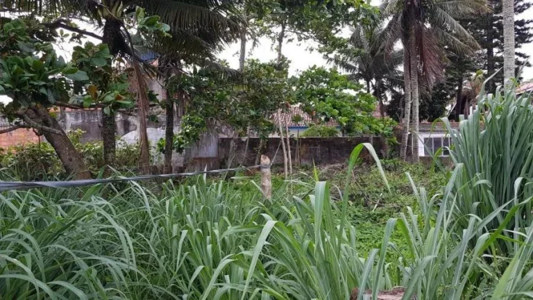 Imagem Terreno para Venda em Itanhaém, Jardim Luiza Mar Mirim