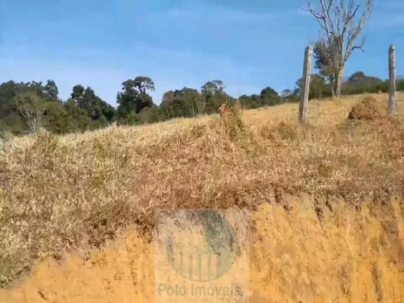 Imagem Sítio planta café 22,34 alqueires, terra vermelha, casa, água, galpão - Zona Rural - Biguatinga l de Minas Gerais