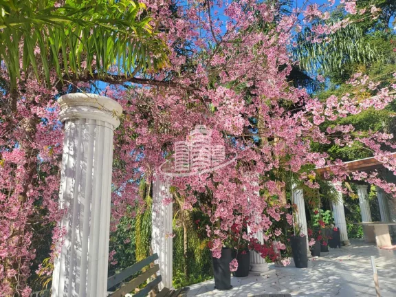 Imagem Casa de Condomínio