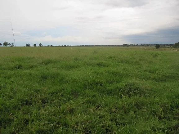 Imagem Fazenda a venda em Pontes e Lacerda - MT
