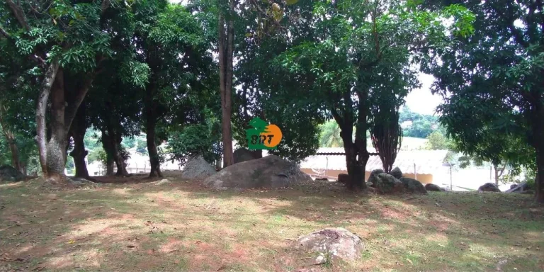 Imagem Chácara para Venda em Araçariguama, Chácara Dora, 2 dormitórios, 1 suíte, 2 banheiros