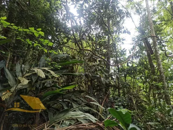 Imagem Vendo Casa com Piscina na Chácara do Paraíso