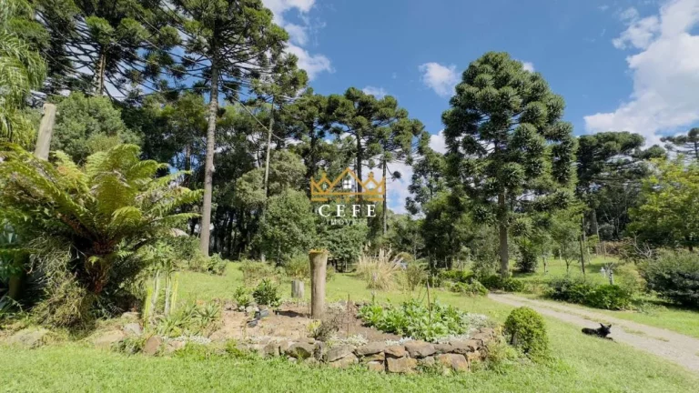 Imagem Chácara - Sítio com 3 Dormitorio(s) localizado(a) no bairro Jardim das Fontes em Canela / RIO GRANDE DO SUL Ref.:1561