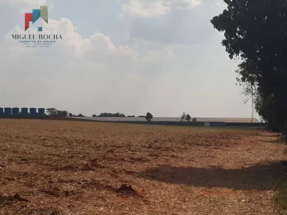 Imagem Sítio a venda Cesário Lange SP
