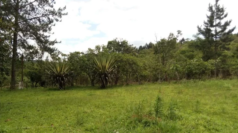 Imagem Terreno no Jardim Silveira - Marsilac