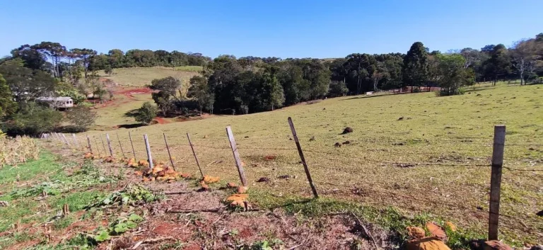 Imagem Chácara à venda em Cascavel - Área Rural com Energia Elétrica e Rio